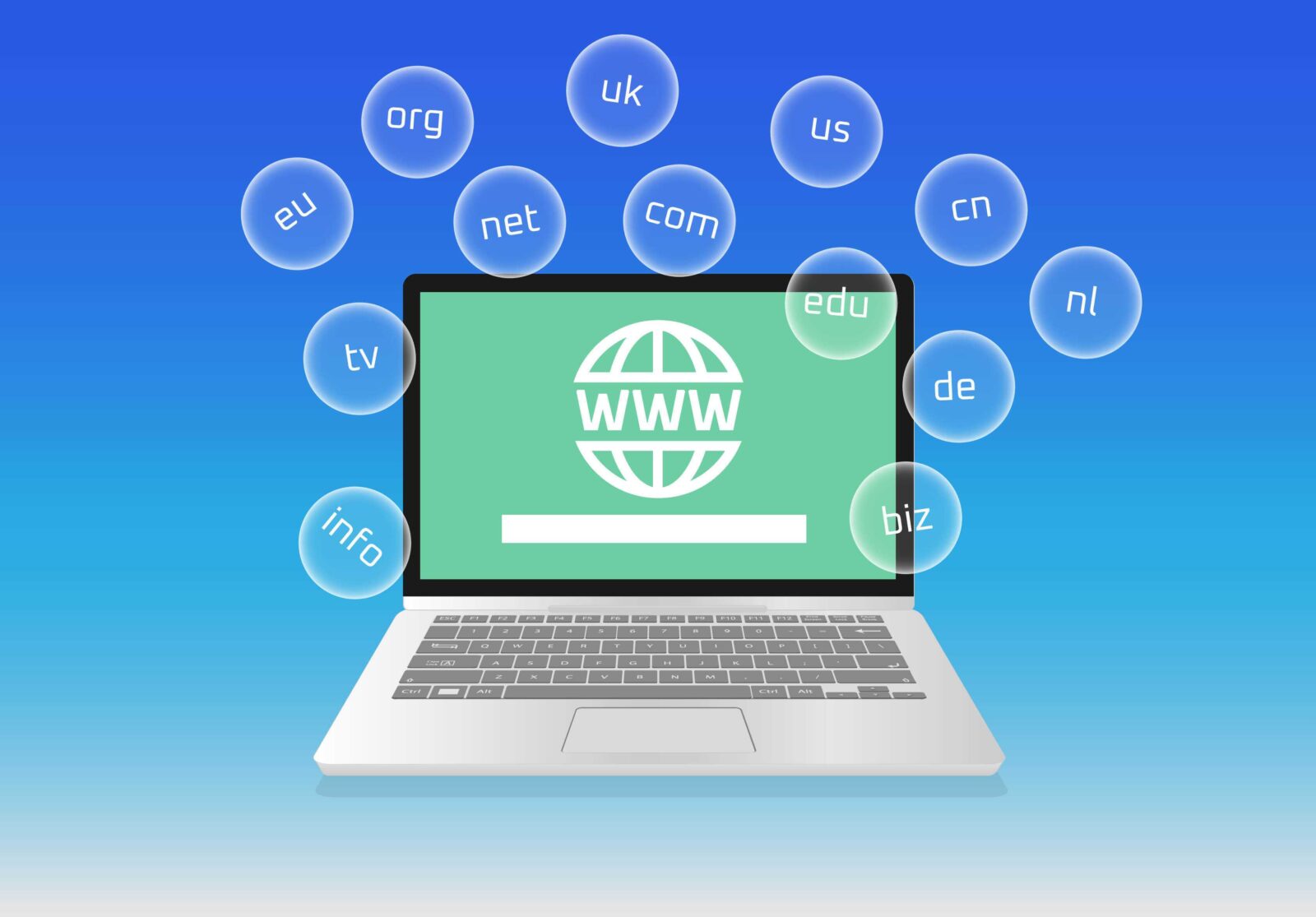 How to Set Up a Domain on New Hosting